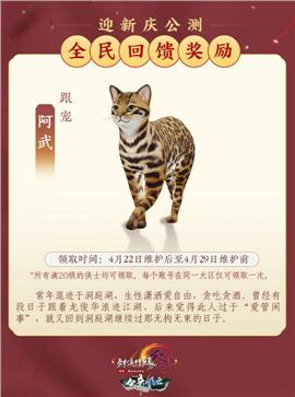 51天龙八部私服